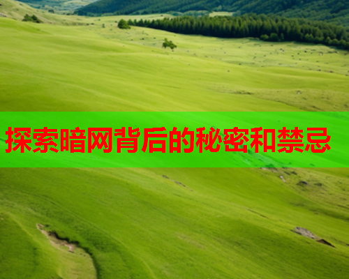 探索暗网背后的秘密和禁忌