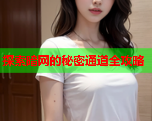 探索暗网的秘密通道全攻略