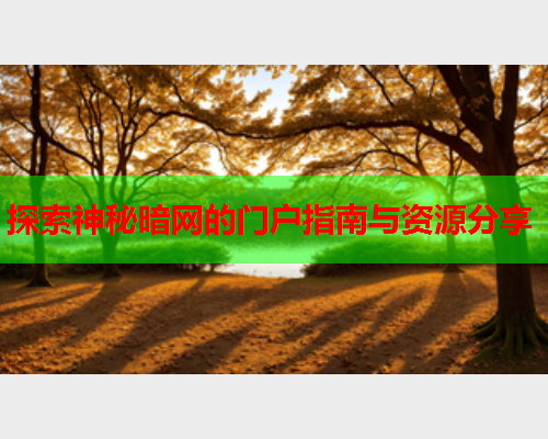 探索神秘暗网的门户指南与资源分享