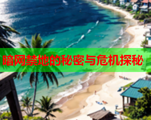 暗网禁地的秘密与危机探秘