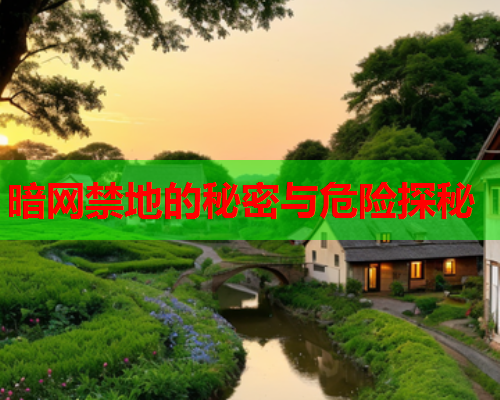 暗网禁地的秘密与危险探秘