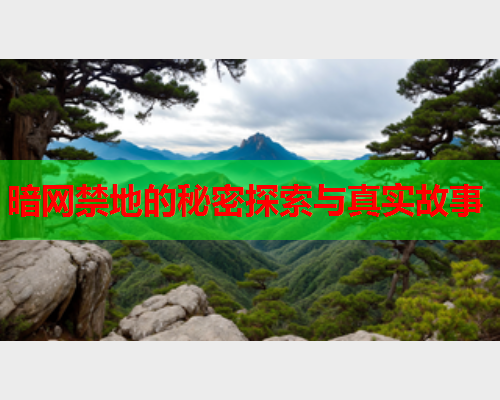 暗网禁地的秘密探索与真实故事