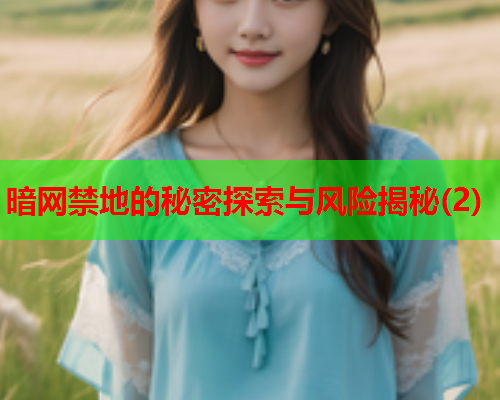 暗网禁地的秘密探索与风险揭秘(2)