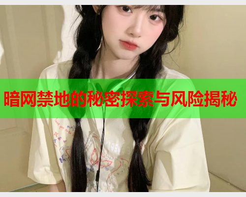 暗网禁地的秘密探索与风险揭秘