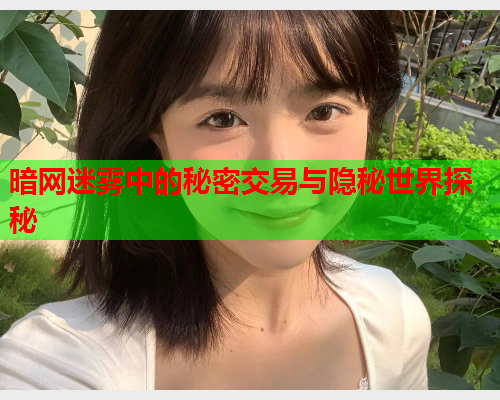 暗网迷雾中的秘密交易与隐秘世界探秘