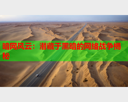 暗网风云：潜藏于黑暗的网络战争揭秘