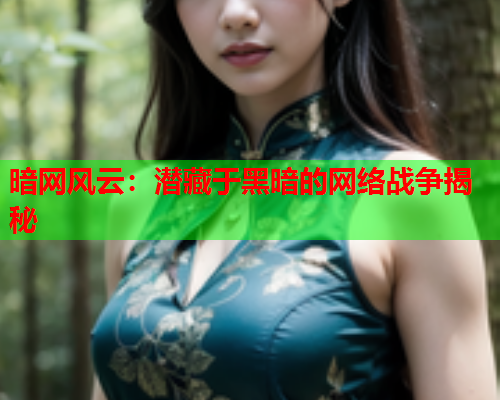 暗网风云：潜藏于黑暗的网络战争揭秘