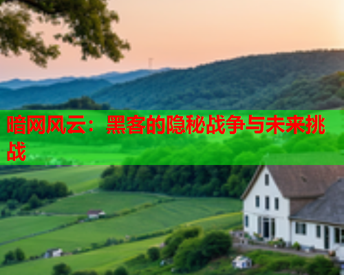 暗网风云：黑客的隐秘战争与未来挑战