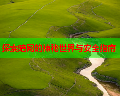 探索暗网的神秘世界与安全指南
