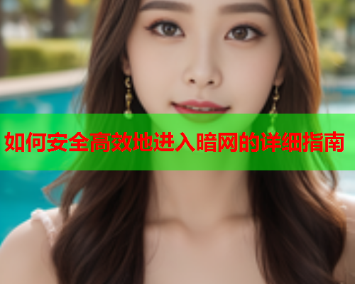 如何安全高效地进入暗网的详细指南