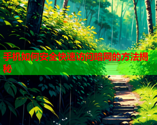 手机如何安全快速访问暗网的方法揭秘
