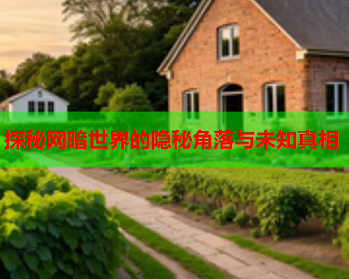 探秘网暗世界的隐秘角落与未知真相