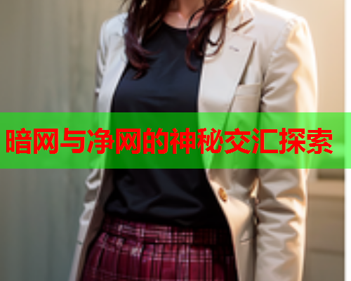暗网与净网的神秘交汇探索