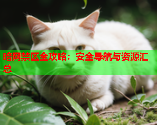 暗网禁区全攻略：安全导航与资源汇总