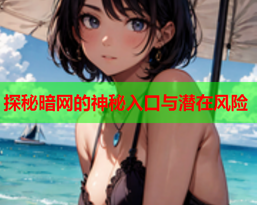 探秘暗网的神秘入口与潜在风险