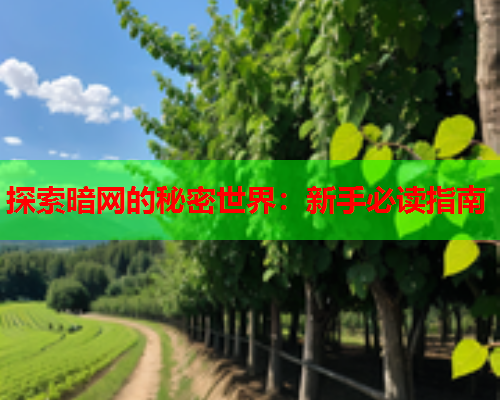 探索暗网的秘密世界：新手必读指南