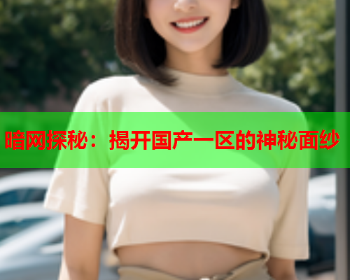 暗网探秘：揭开国产一区的神秘面纱