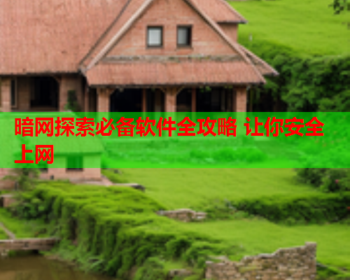 暗网探索必备软件全攻略 让你安全上网