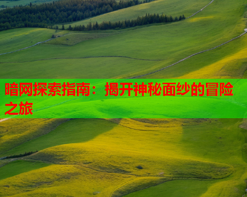 暗网探索指南：揭开神秘面纱的冒险之旅