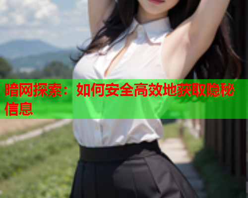 暗网探索：如何安全高效地获取隐秘信息