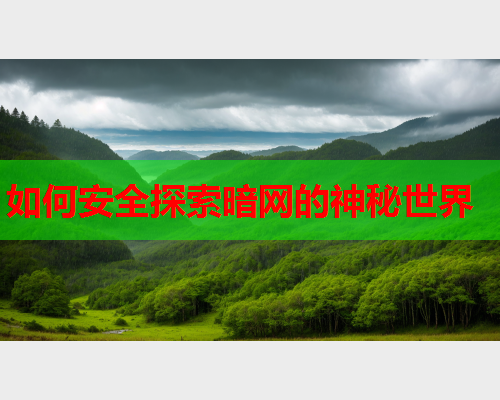 如何安全探索暗网的神秘世界