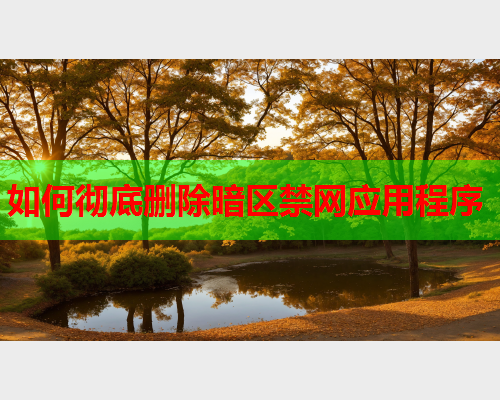 如何彻底删除暗区禁网应用程序