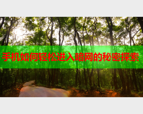 手机如何轻松进入暗网的秘密探索