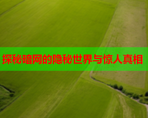 探秘暗网的隐秘世界与惊人真相