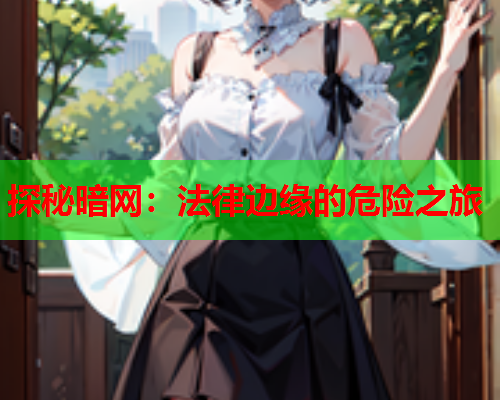探秘暗网：法律边缘的危险之旅