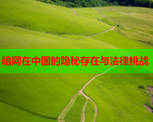 暗网在中国的隐秘存在与法律挑战