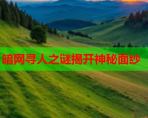 暗网寻人之谜揭开神秘面纱