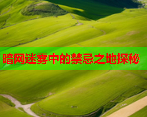 暗网迷雾中的禁忌之地探秘
