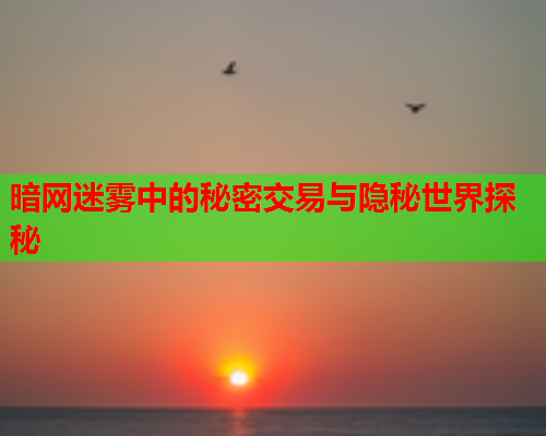 暗网迷雾中的秘密交易与隐秘世界探秘