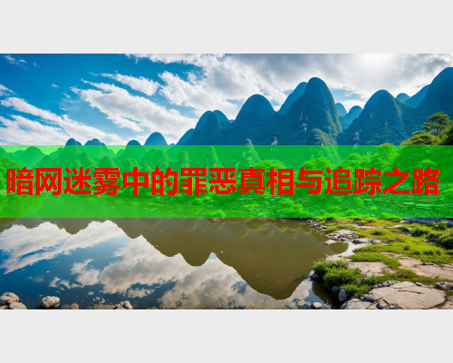 暗网迷雾中的罪恶真相与追踪之路