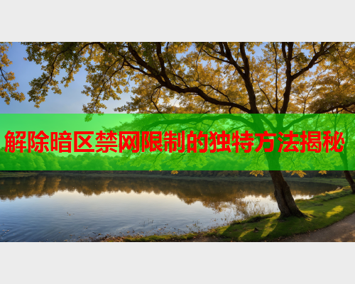 解除暗区禁网限制的独特方法揭秘