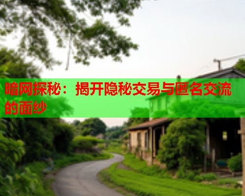 暗网探秘：揭开隐秘交易与匿名交流的面纱