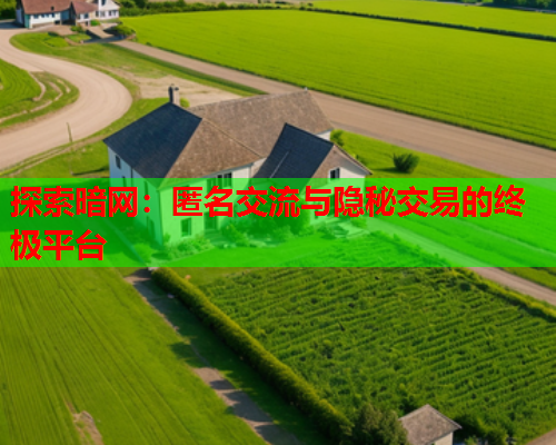 探索暗网：匿名交流与隐秘交易的终极平台