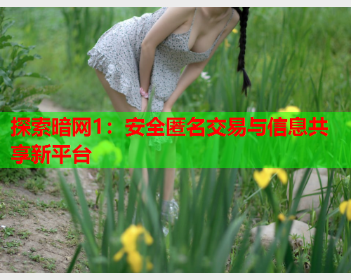 探索暗网1：安全匿名交易与信息共享新平台