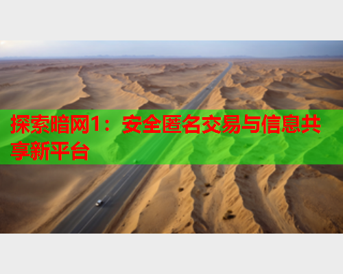 探索暗网1：安全匿名交易与信息共享新平台